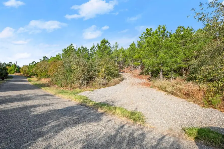 TBD Winfield Thicket Rd, Bastrop, TX 78602 - #3