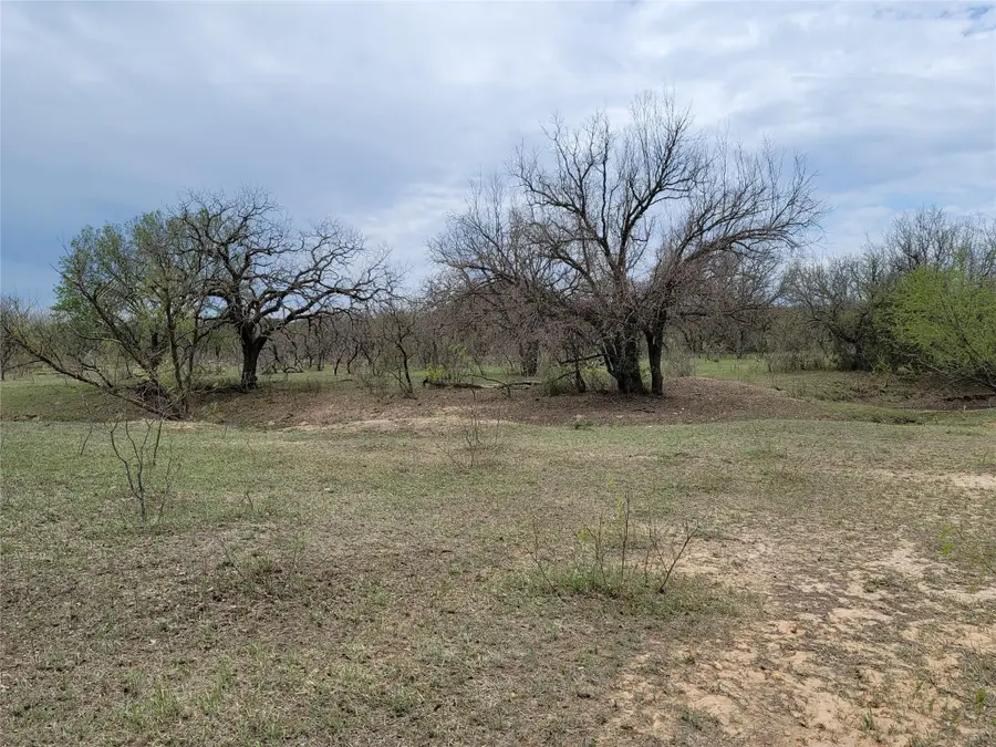293 Threadgill Ln, Valley Spring, TX 76885 - #2
