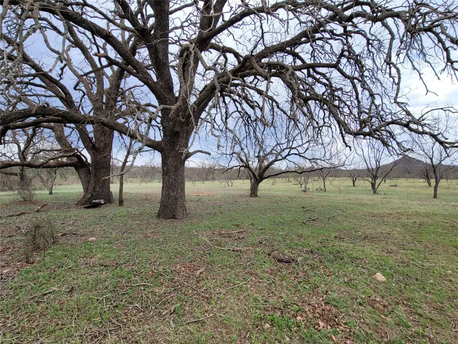 293 Threadgill Ln, Valley Spring, TX 76885 - #3