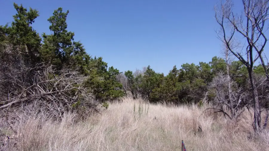 407 E Headwaters Ranch Rd, Kendalia, TX 78027 - Image #2