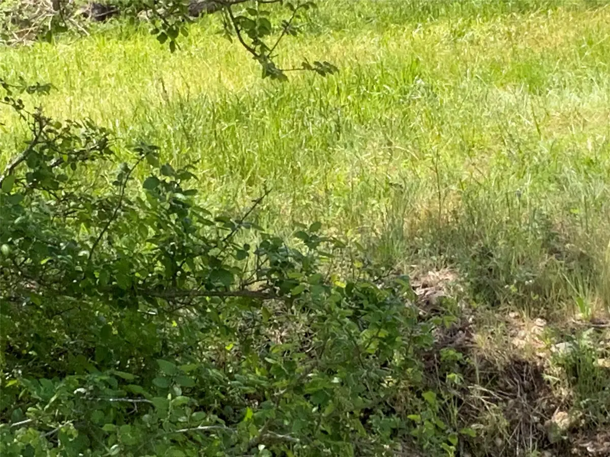 501 Monument St, Lockhart, TX 78644 - Image #1