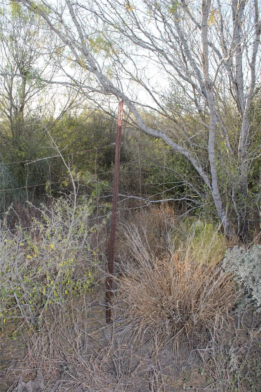 0000 Cr 339, Jourdanton, TX 78026 - #3