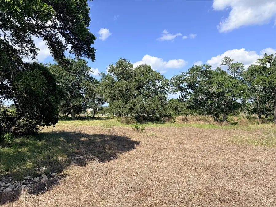 485 Inspiration Loop, Fredericksburg, TX 78624 - #3