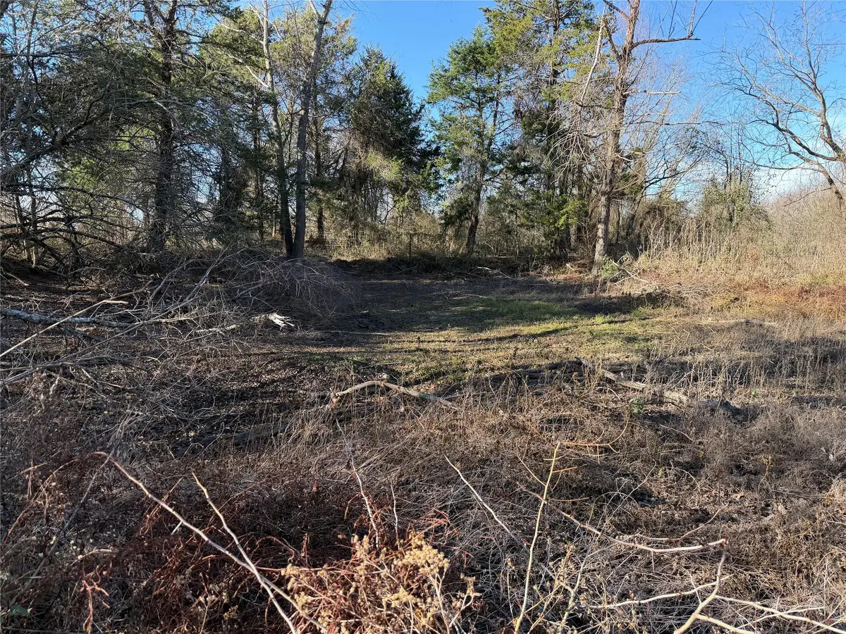 TBD County Road 925 Tract 17 Rd, Teague, TX 76667 - Image #1