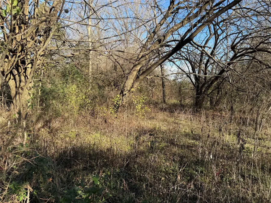 TBD County Road 925 Tract 17 Rd, Teague, TX 76667 - Image #2