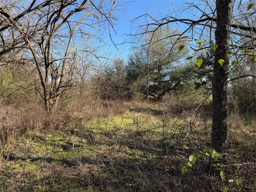 TBD County Road 925 Tract 17 Rd, Teague, TX 76667 - Image #3