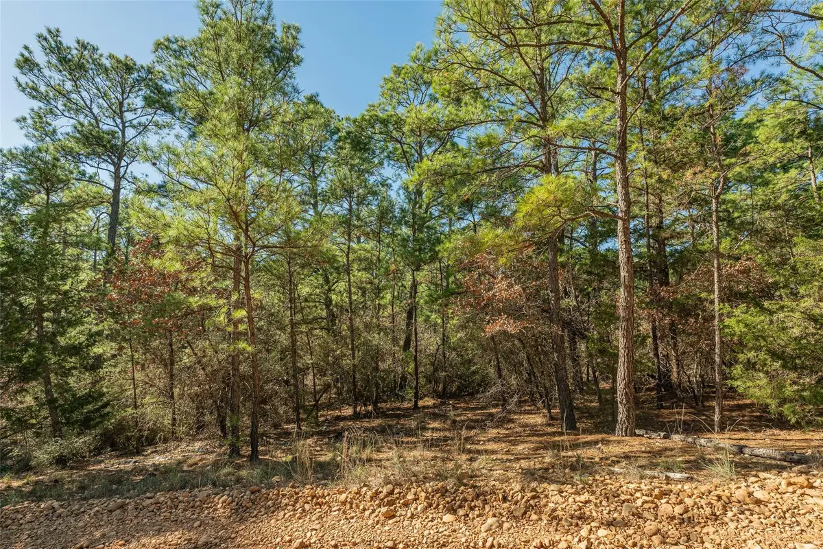 Lot 96 Hidden Hollow Ct, Bastrop, TX 78602 - Image #1