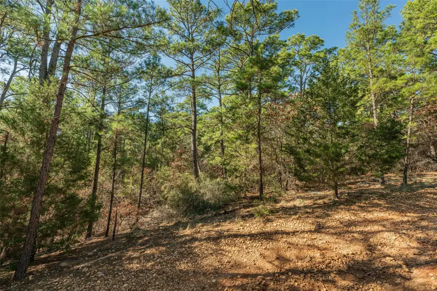 Lot 96 Hidden Hollow Ct, Bastrop, TX 78602 - Image #3