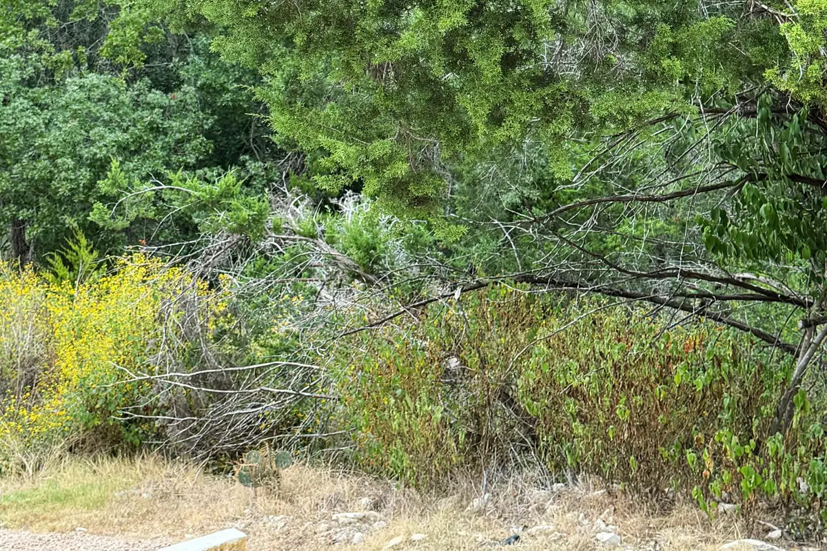 13912 Saskatchewan Dr, Austin, TX 78734 - Image #1