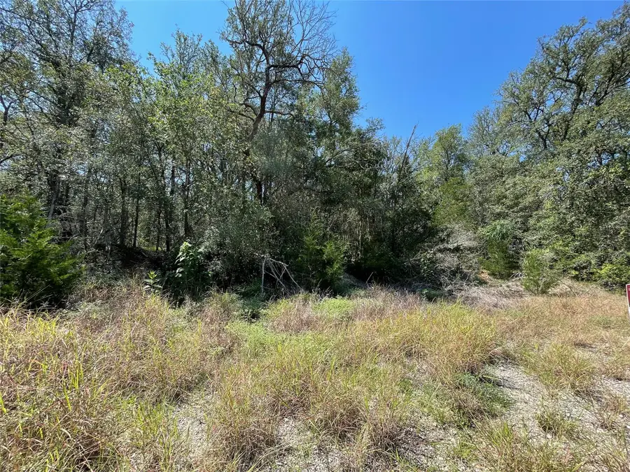 106 Waipio Ct, Bastrop, TX 78602 - #2