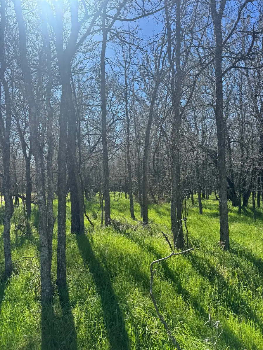 Lot 500 Kaaawa Ln, Bastrop, TX 78602 - #3