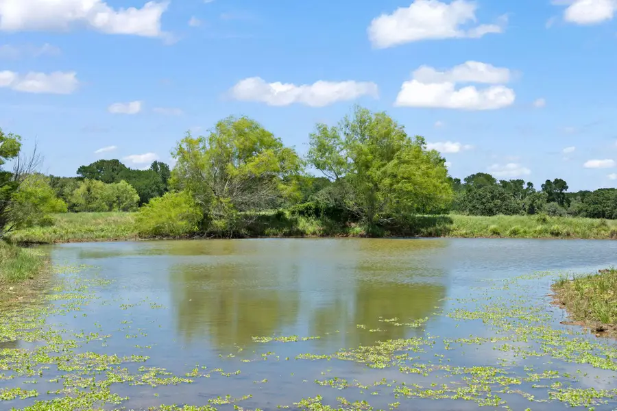 1010 Saint Delight Rd, Paige, TX 78659 - Image #3