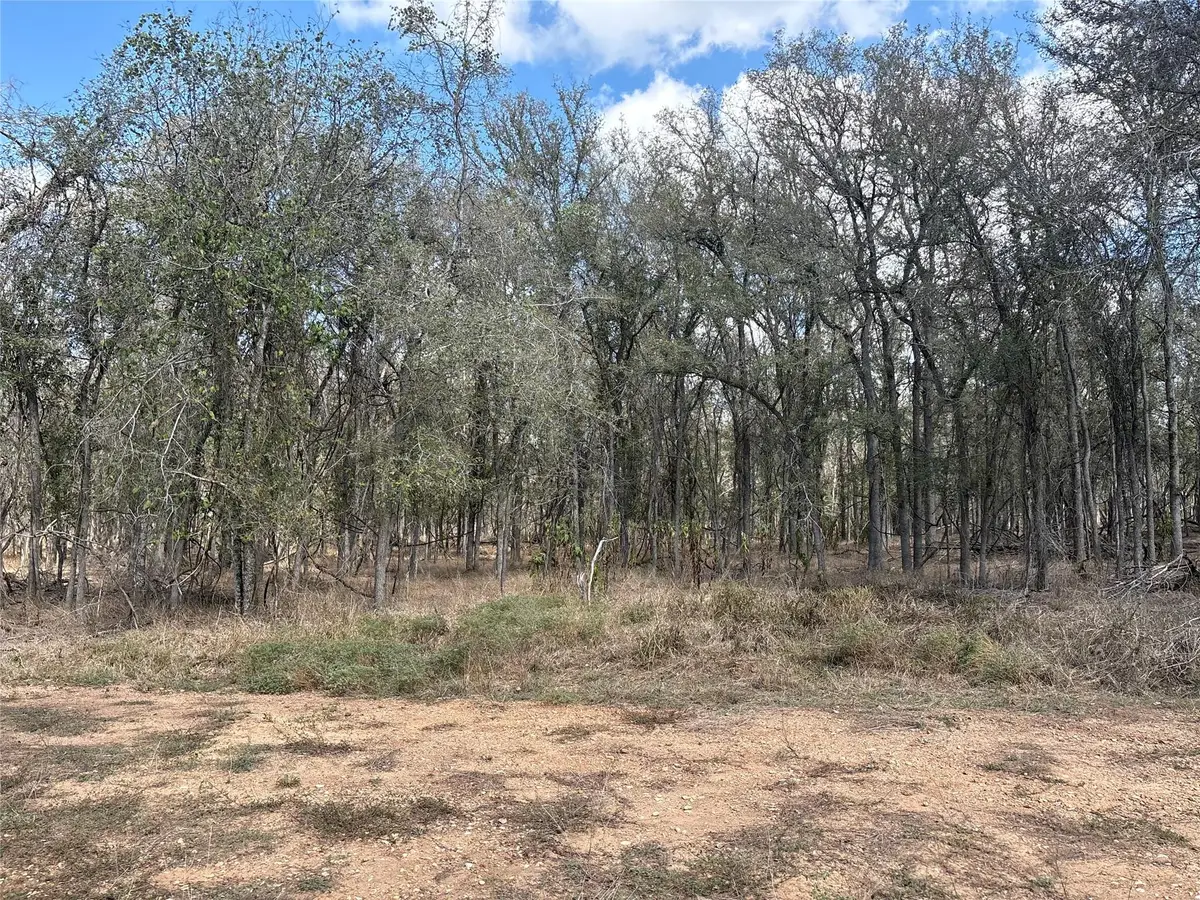 116 E Ahupu Ln, Bastrop, TX 78602 - #1