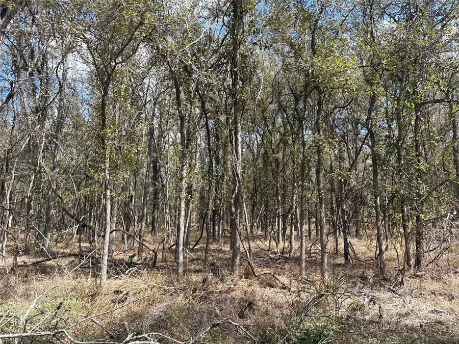116 E Ahupu Ln, Bastrop, TX 78602 - #2