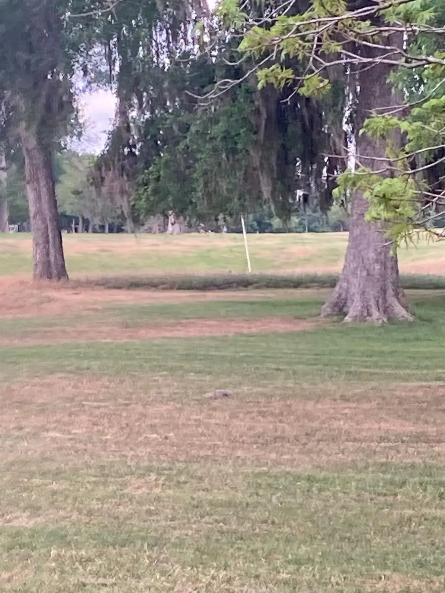 TBD Konahuanui Lane Ln, Bastrop, TX 78602 - Image #3