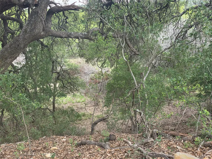TBD Sycamore Creek Dr, Dripping Springs, TX 78620 - #3