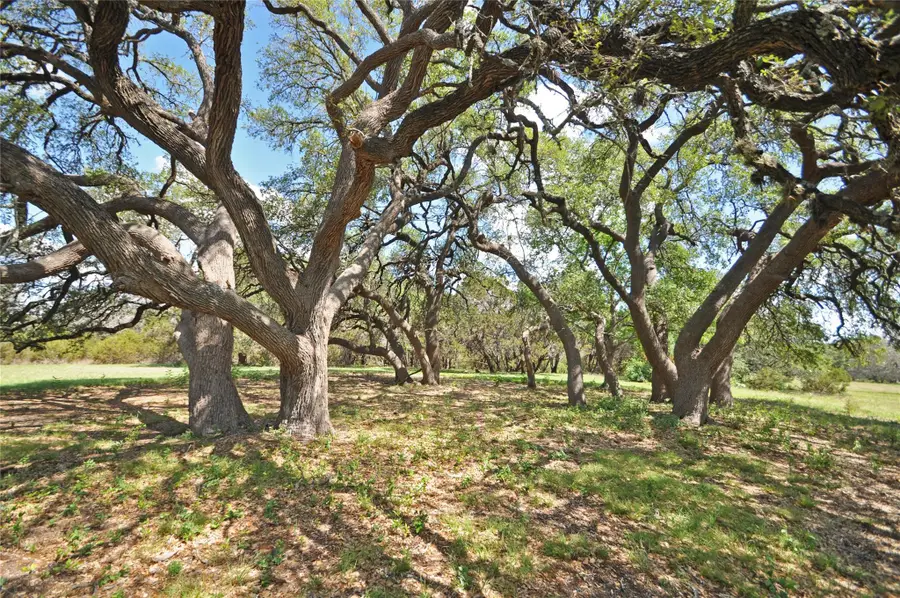 000 County Road 287 (lot 1), Liberty Hill, TX 78642 - Image #2