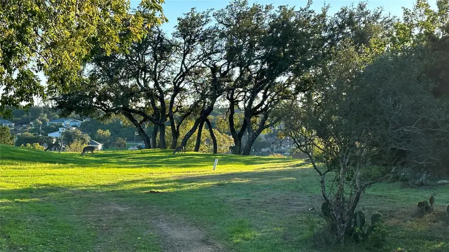 20809 Twisting Trl, Lago Vista, TX 78645 - Image #3