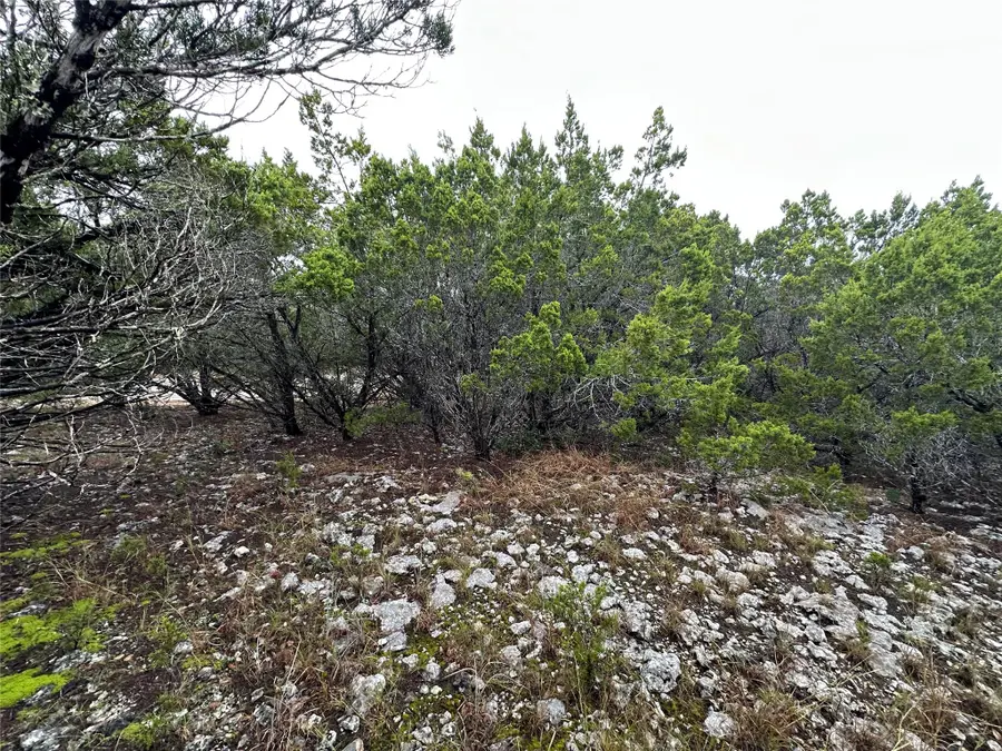 20600 Trinity Cv, Lago Vista, TX 78645 - Image #3