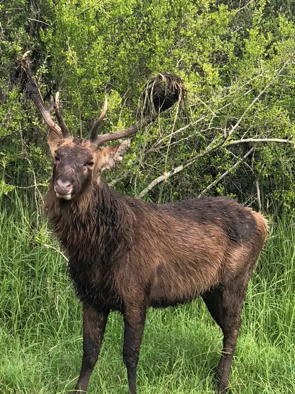 305 Cr 305, Beeville, TX 78102