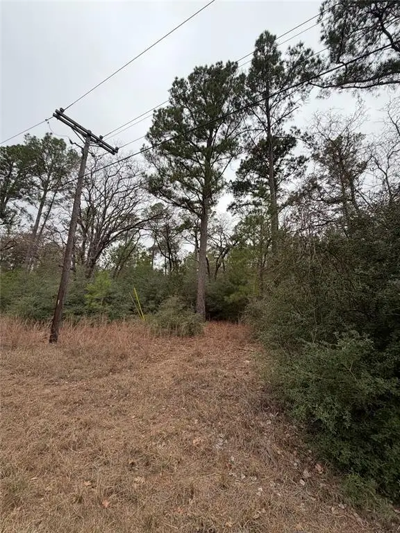 0000 Makaha Dr, Bastrop, TX 78602 - #1