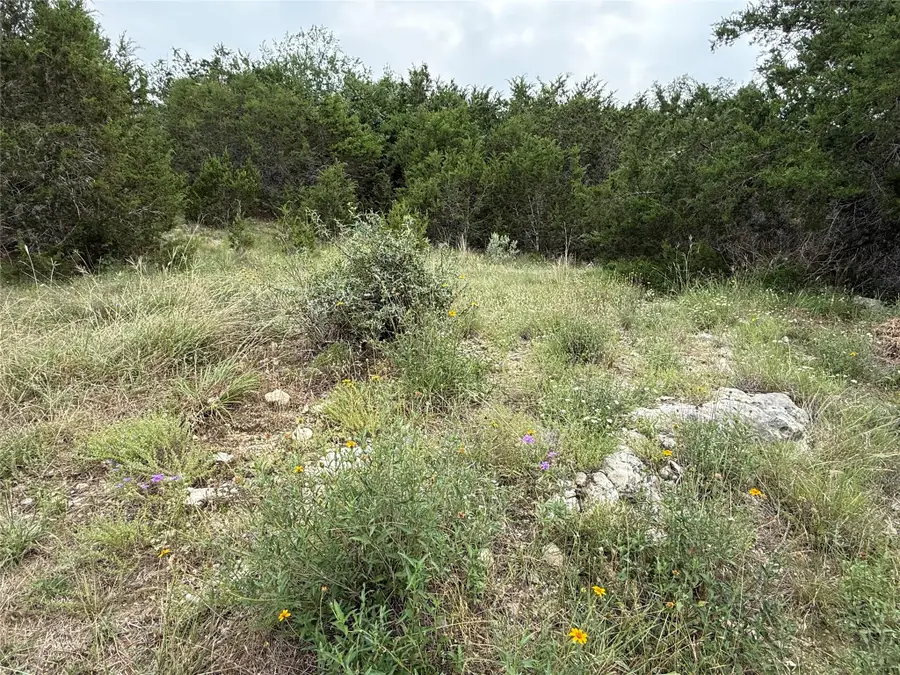 22307 Shotts Dr, Spicewood, TX 78669 - Image #2