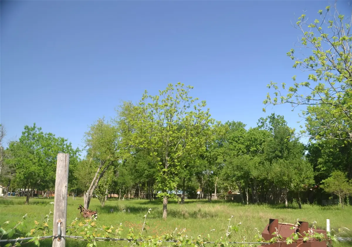 699 Tbd Q S Goins Ln, Elgin, TX 78621 - Image #1