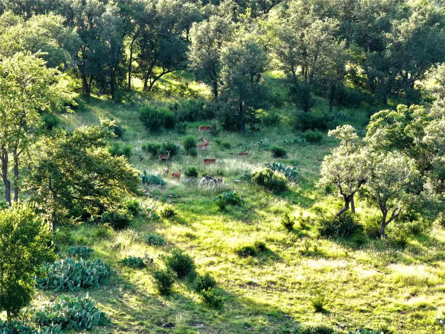 Lot 4 Cr 220, Briggs, TX 78608 - Image #2