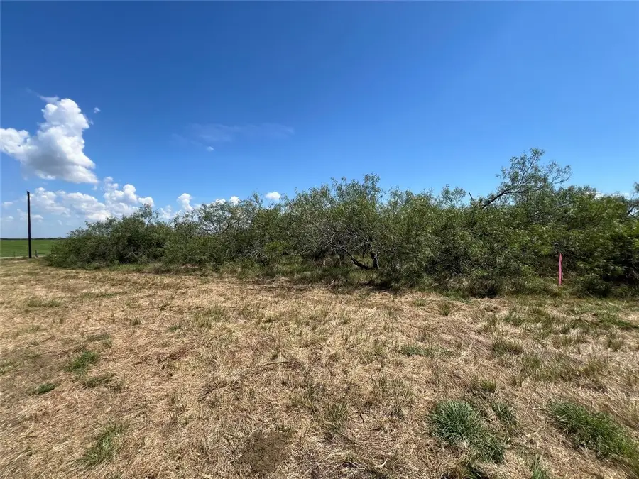 2630 Cr 466, Elgin, TX 78621 - #3