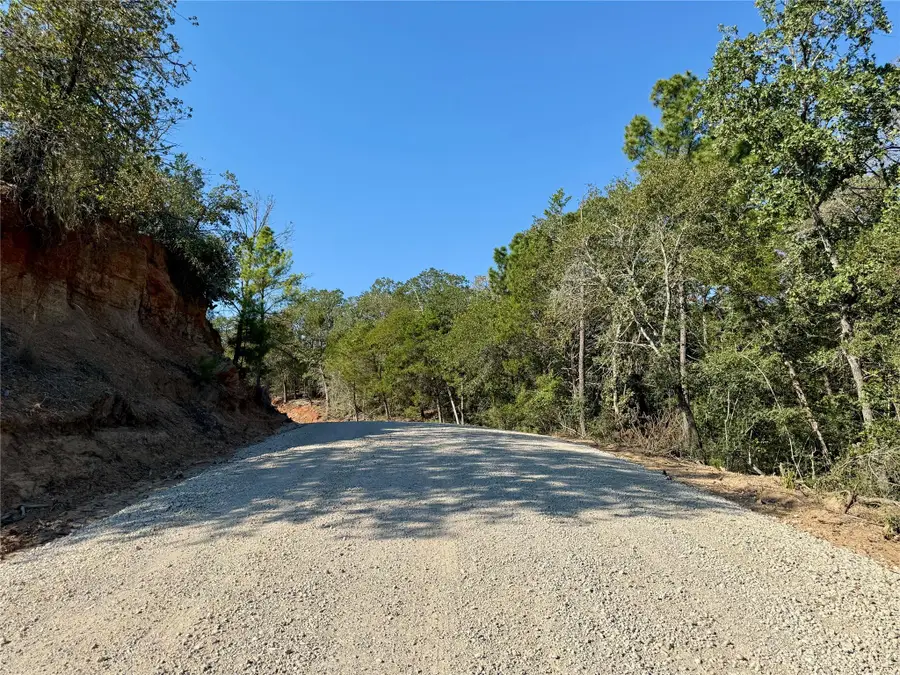 TBD Lot 1233 Hanauma Dr, Bastrop, TX 78602 - #3