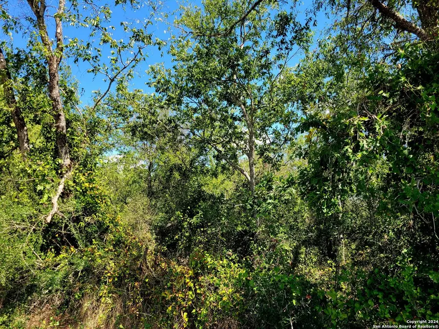 tbd Dale Ln, Dale, TX 78616 - Image #2