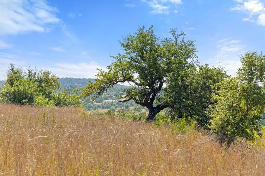 Tract 2 of 5818 Ranch Road 165, Blanco, TX 78606 - Image #2