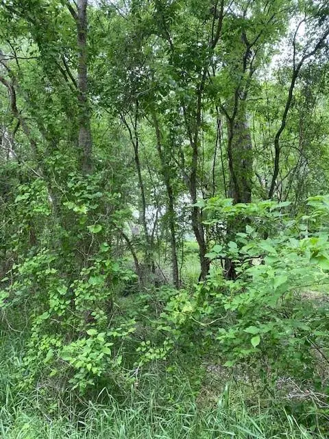 Lot 812 Kaukonahua Ln, Bastrop, TX 78602 - #3