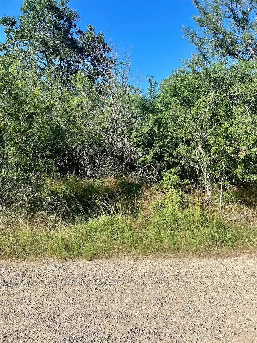 183 Helemano Dr, Bastrop, TX 78602 - Image #2