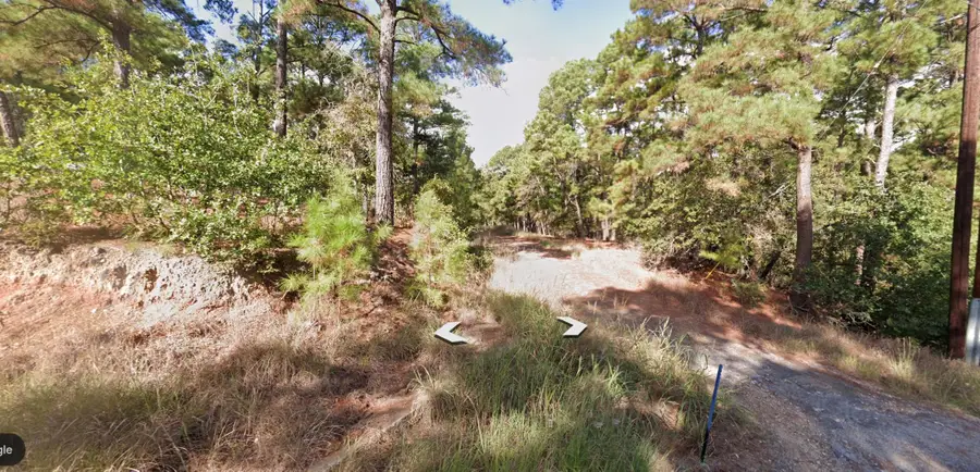 1188 Tahitian Village, Bastrop, TX 78602 - Image #3