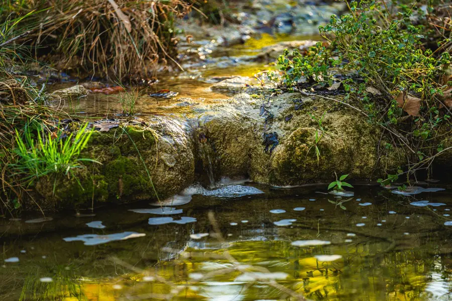 TBD Fm-2843, Salado, TX 76571 - Image #3