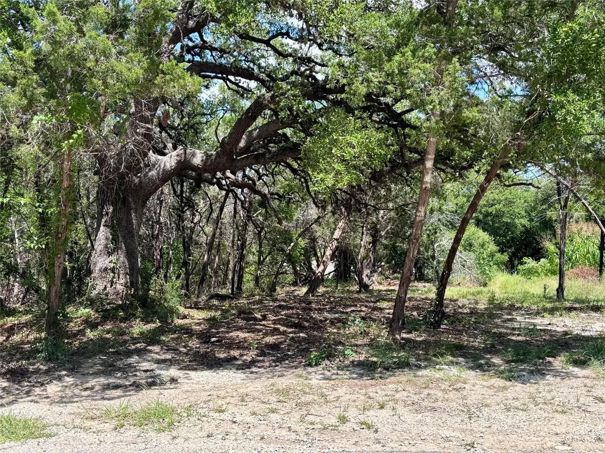 TBD S Contour Dr, Spring Branch, TX 78070 - #1