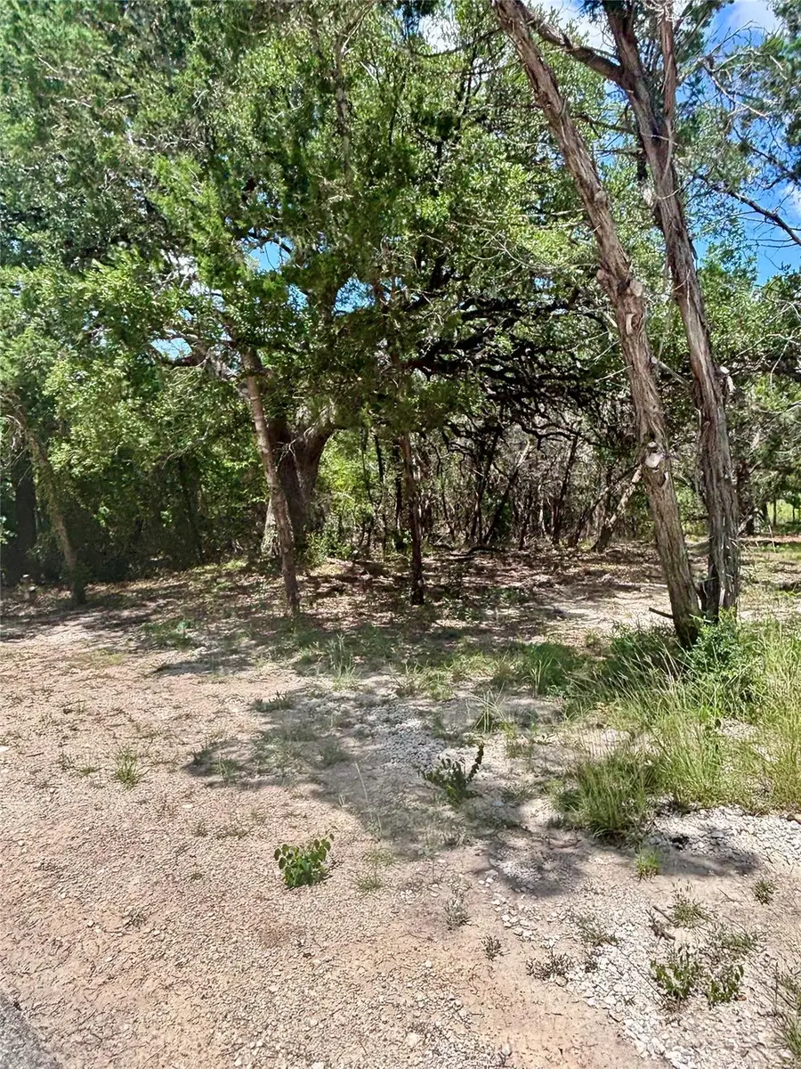 TBD S Contour Dr, Spring Branch, TX 78070 - #3