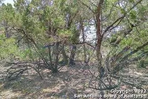 1590 Rose Ln, Canyon Lake, TX 78133 - #2