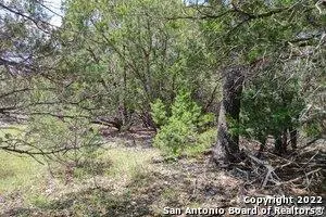 1590 Rose Ln, Canyon Lake, TX 78133 - #3