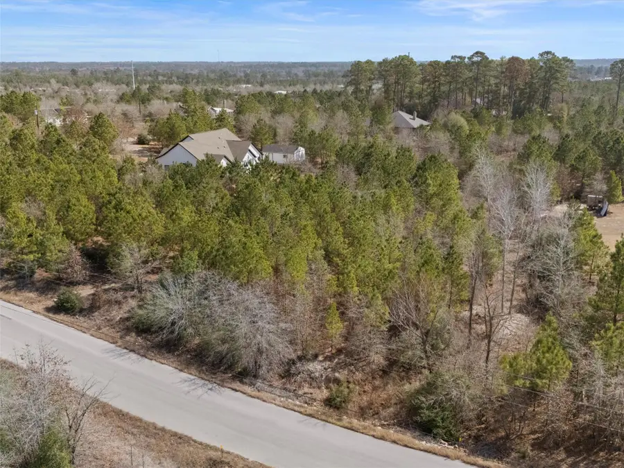 TBD S. Bob White St, Paige, TX 78659 - #3