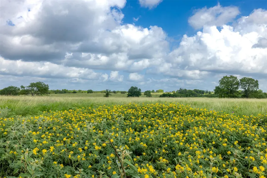 4046 State Highway 21, Caldwell, TX 77835 - Image #3