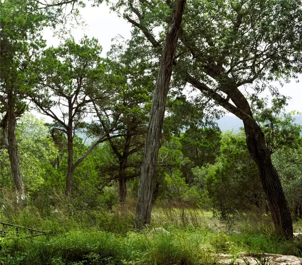 850 Days End Rd, Wimberley, TX 78676