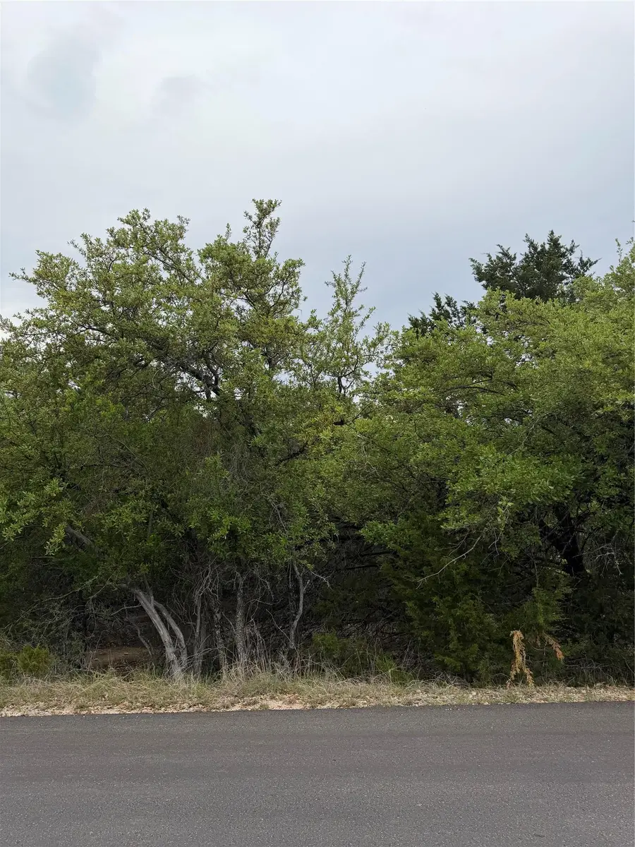 21408 Paine Ave, Lago Vista, TX 78645 - #2