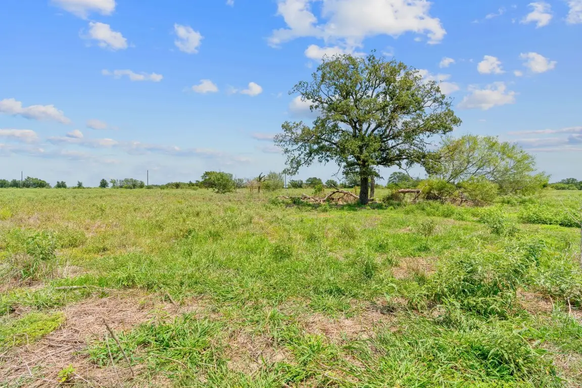 Lot 1 County Road 406, Flatonia, TX 78632 - Image #1