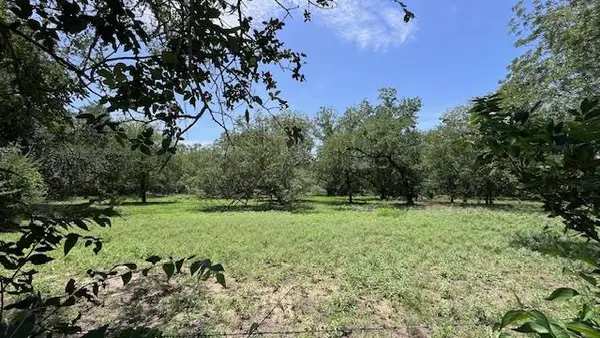 344 & 343 Bateman Rd, Red Rock, TX 78662