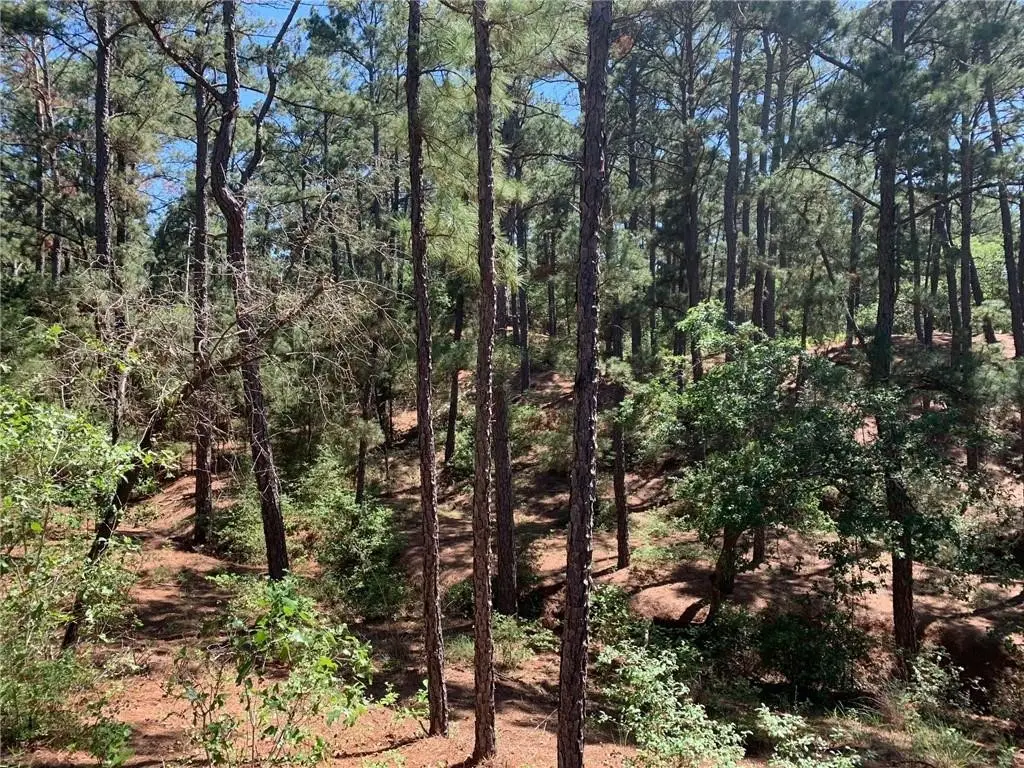 TBD Wahane Ln, Bastrop, TX 78602 - Image #1