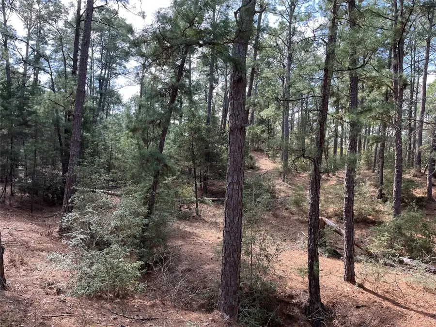 TBD Wahane Ln, Bastrop, TX 78602 - Image #2