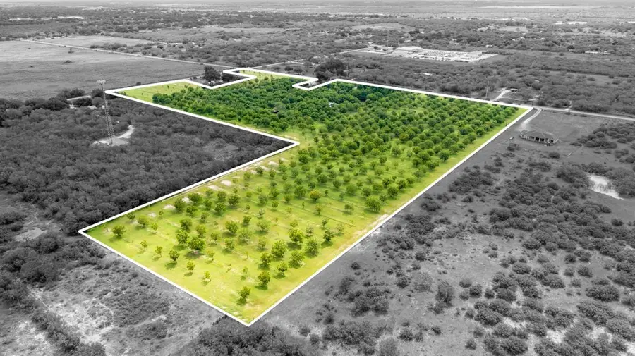 2432 County Road 402, Falfurrias, TX 78355 - Image #2