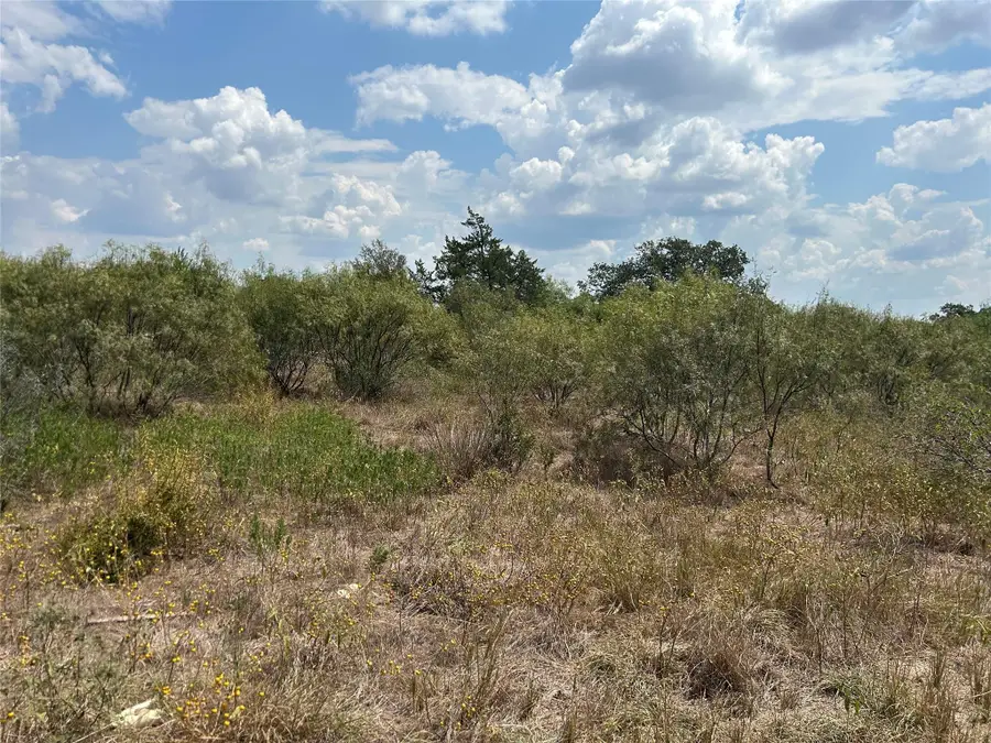 303 Walter Hoffman Rd, Cedar Creek, TX 78612 - Image #3